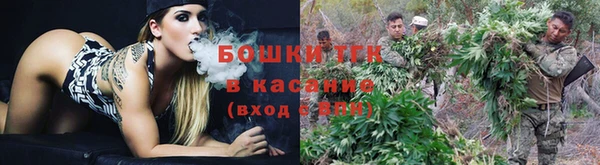 ALPHA PVP Нефтекумск