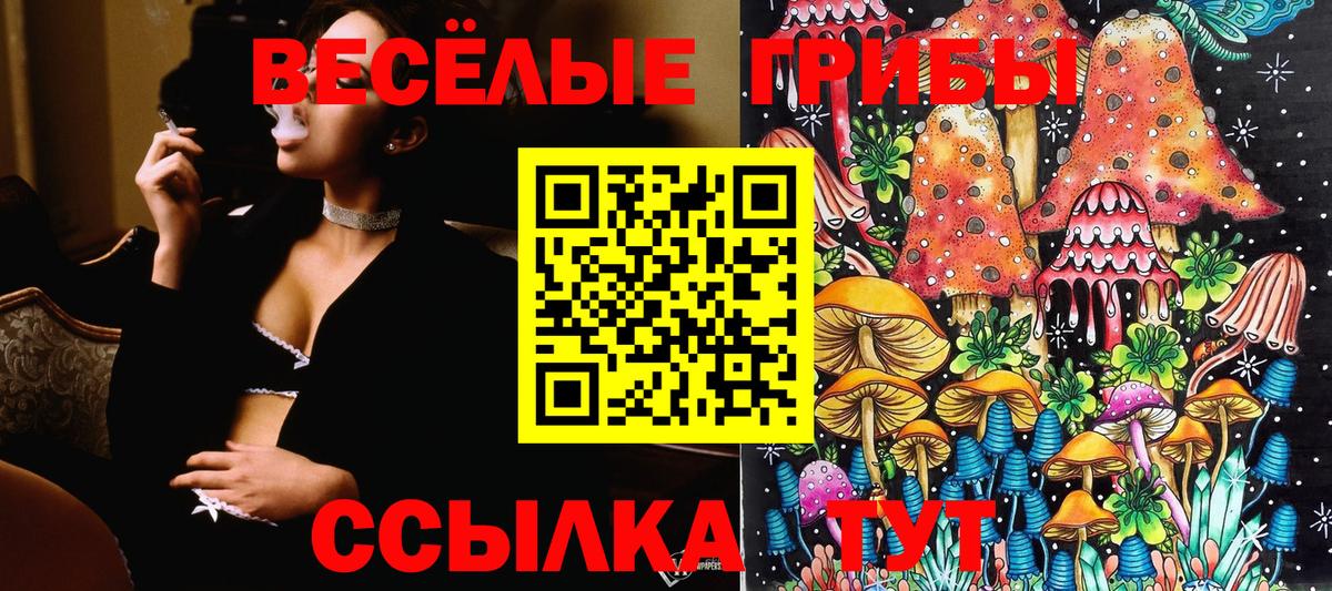 Тверь  Псилоцибиновые грибы Psilocybine cubensis  Вход с VPN  Псилоцибиновые грибы прущие грибы 