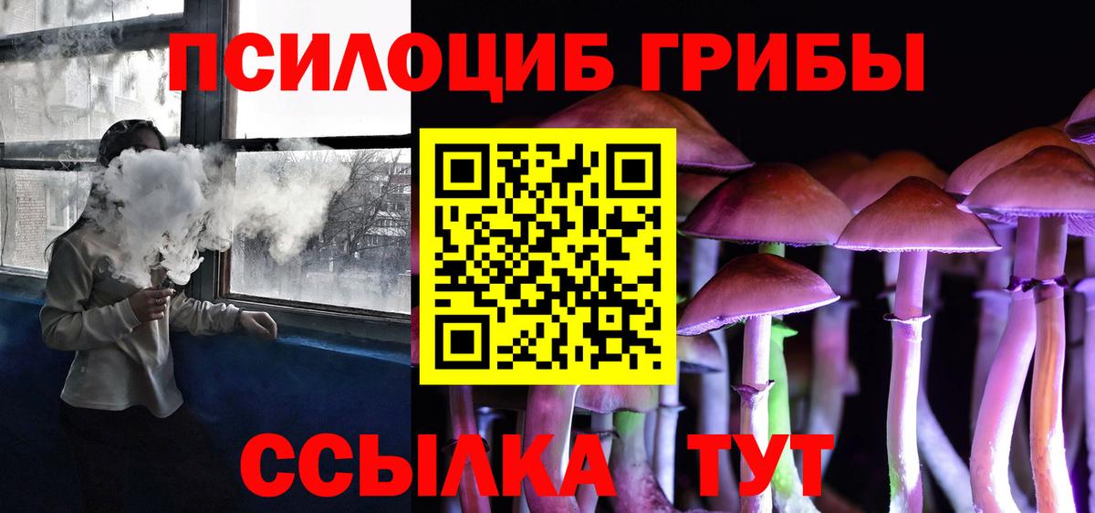 Псилоцибиновые грибы Psilocybe Тверь